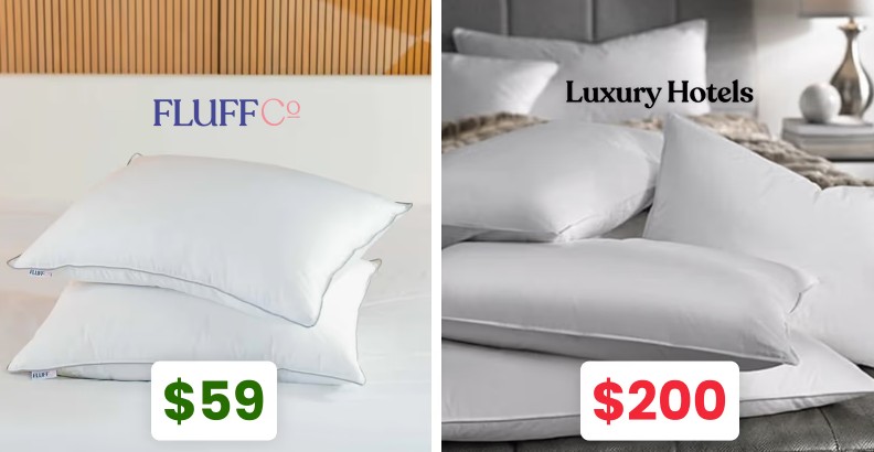 FluffCo $59 versus luxury hotels $200